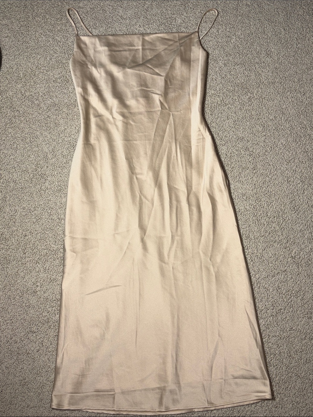 Birdy Grey Champagne Slip Dress with Cowel Neck